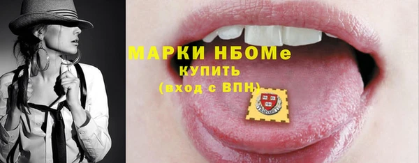 шишки Верхний Тагил