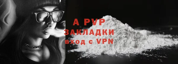 трава Верея