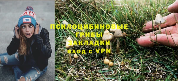 шишки Верхний Тагил