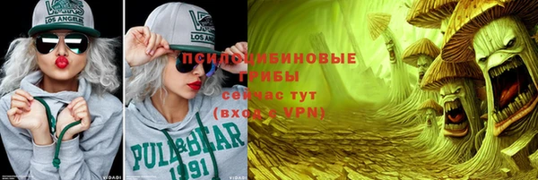 шишки Верхний Тагил