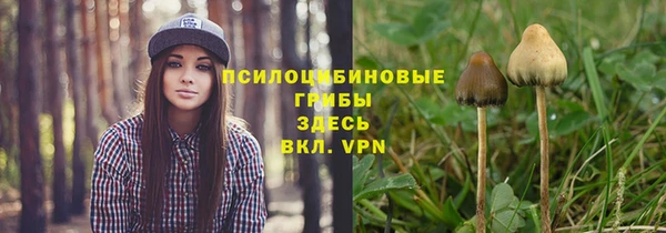 трава Верея