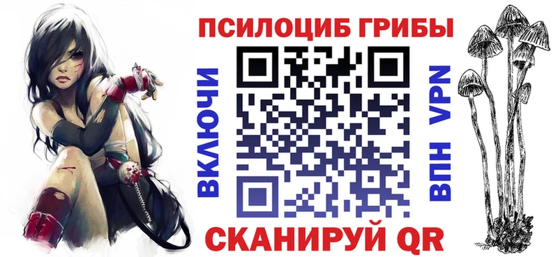 Псилоцибиновые грибы Psilocybe  купить   Дмитриев 