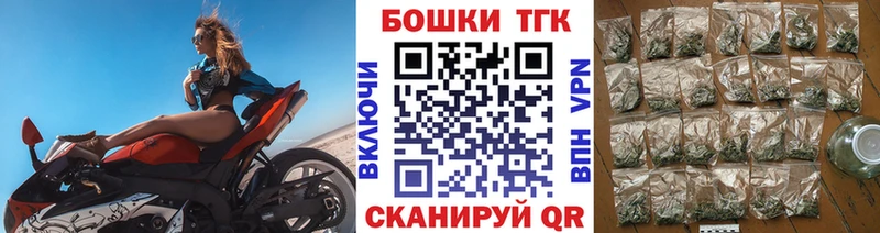 Бошки Шишки план Дмитриев